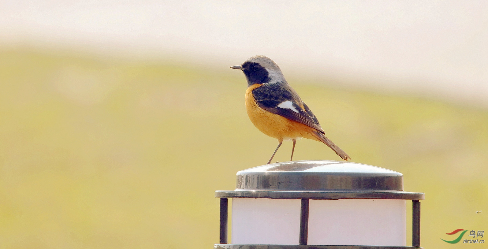 123_����.jpg