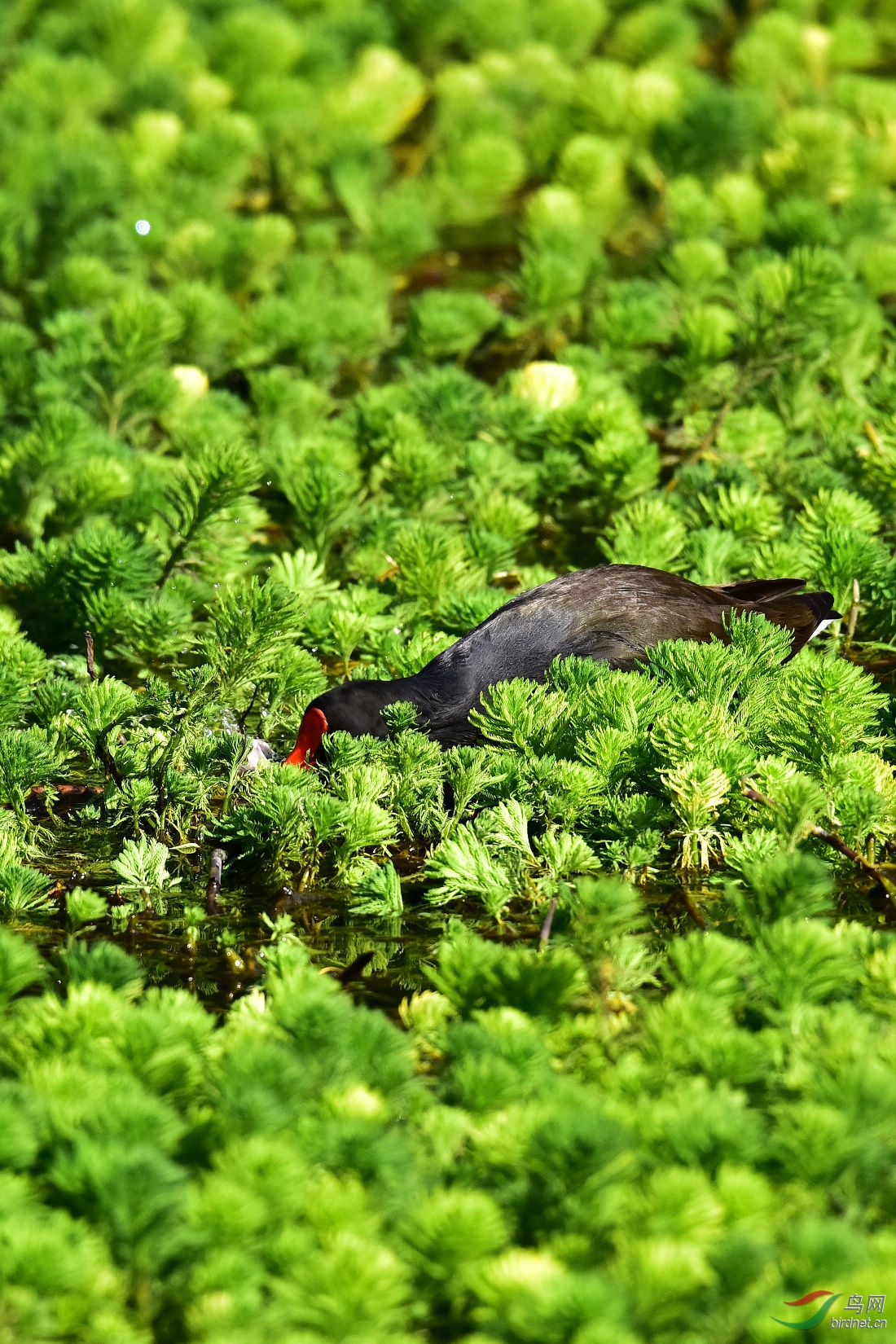 DSC_0266.JPG