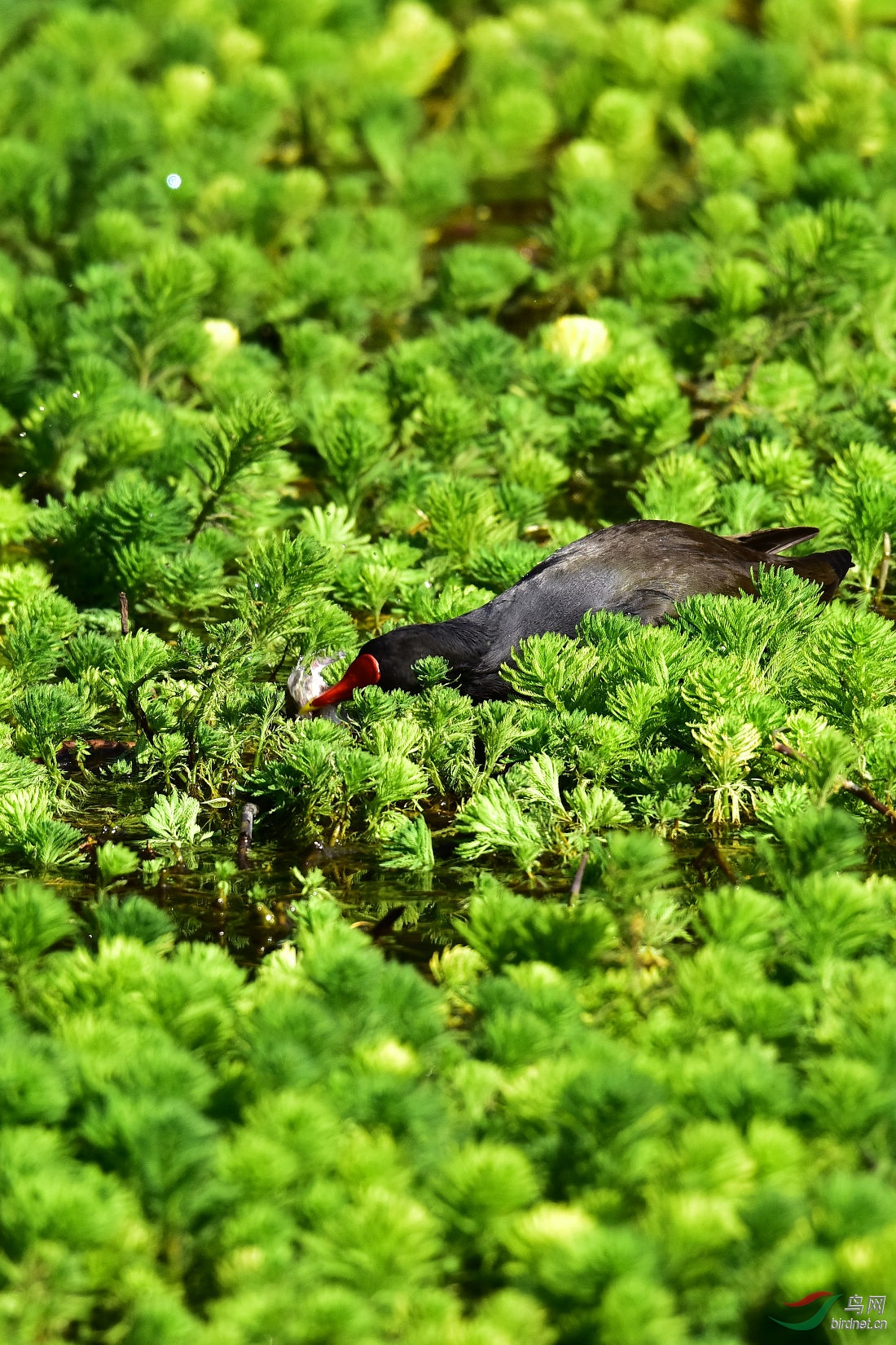 DSC_0267.JPG