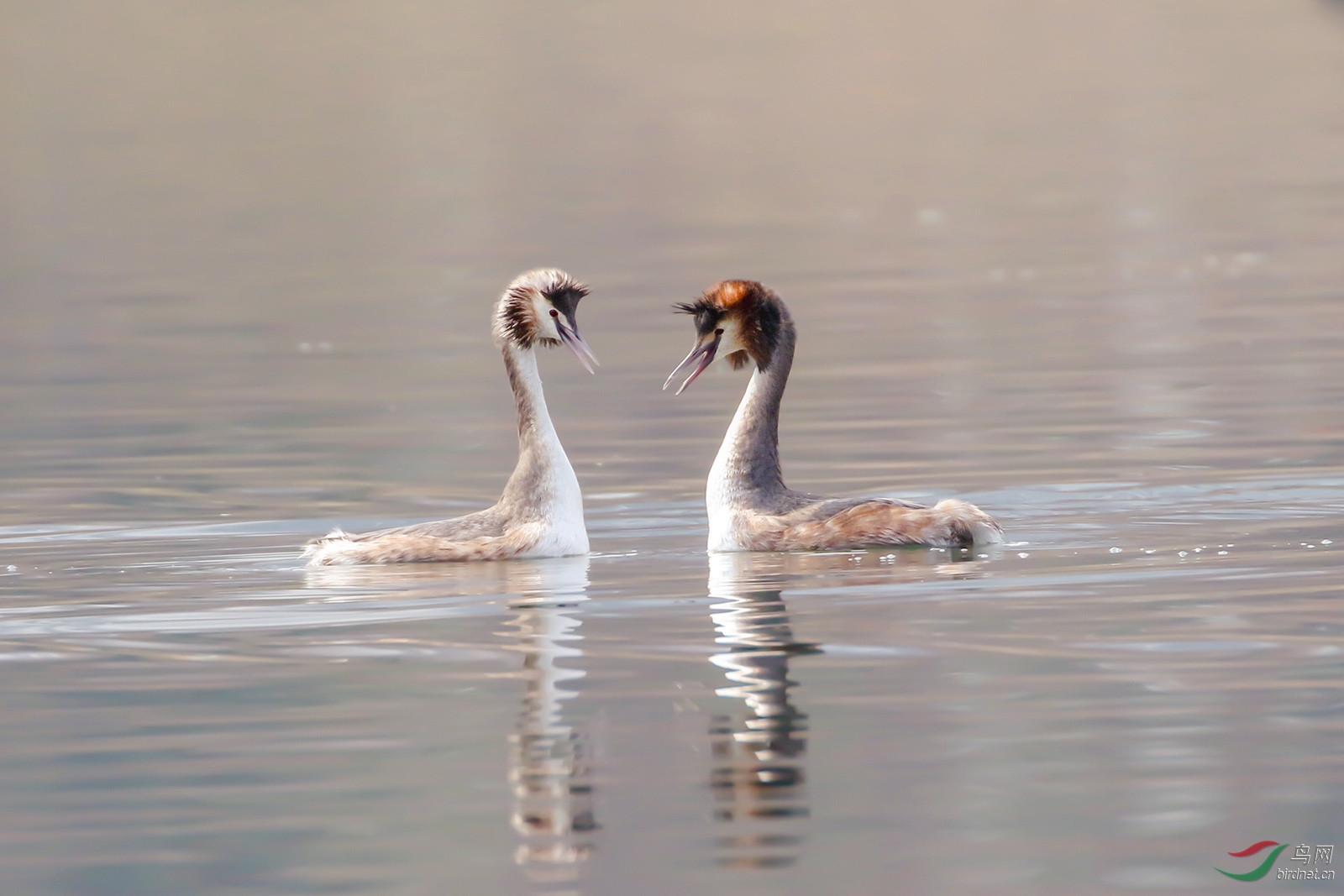 IMG_6668.jpg