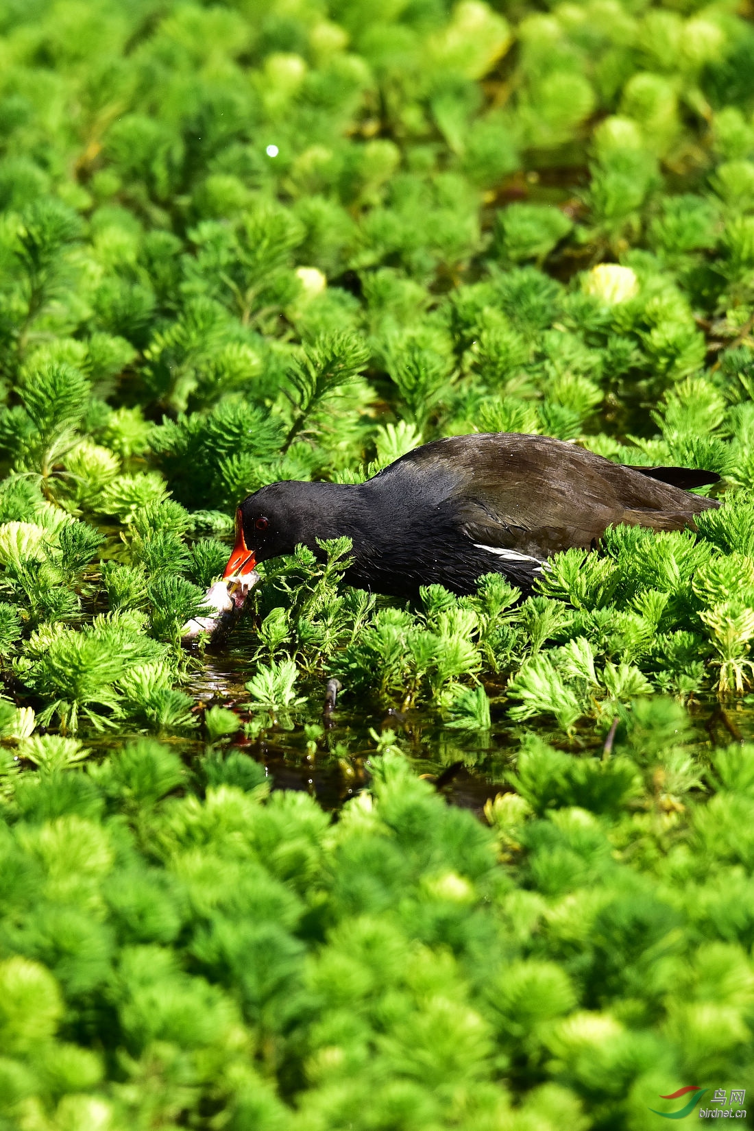DSC_0272.JPG