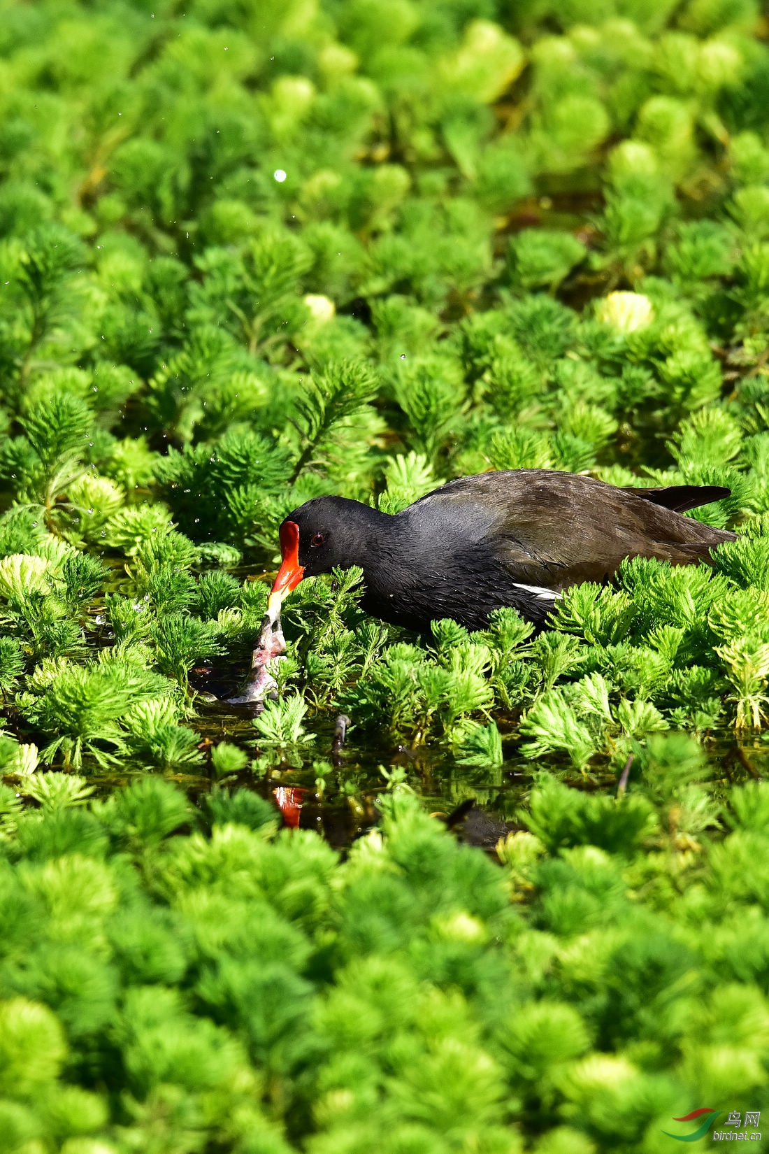 DSC_0273.JPG