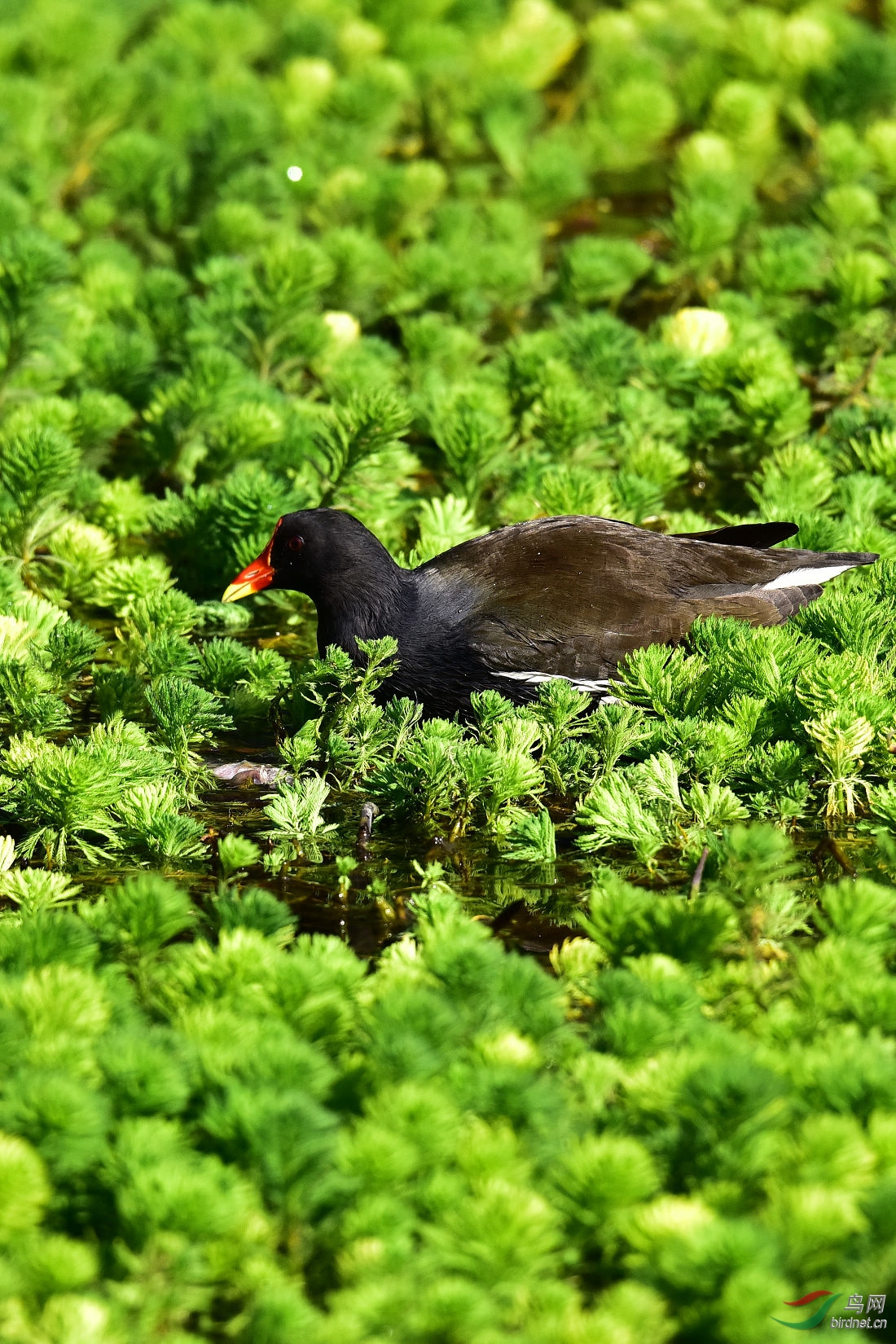 DSC_0275.JPG