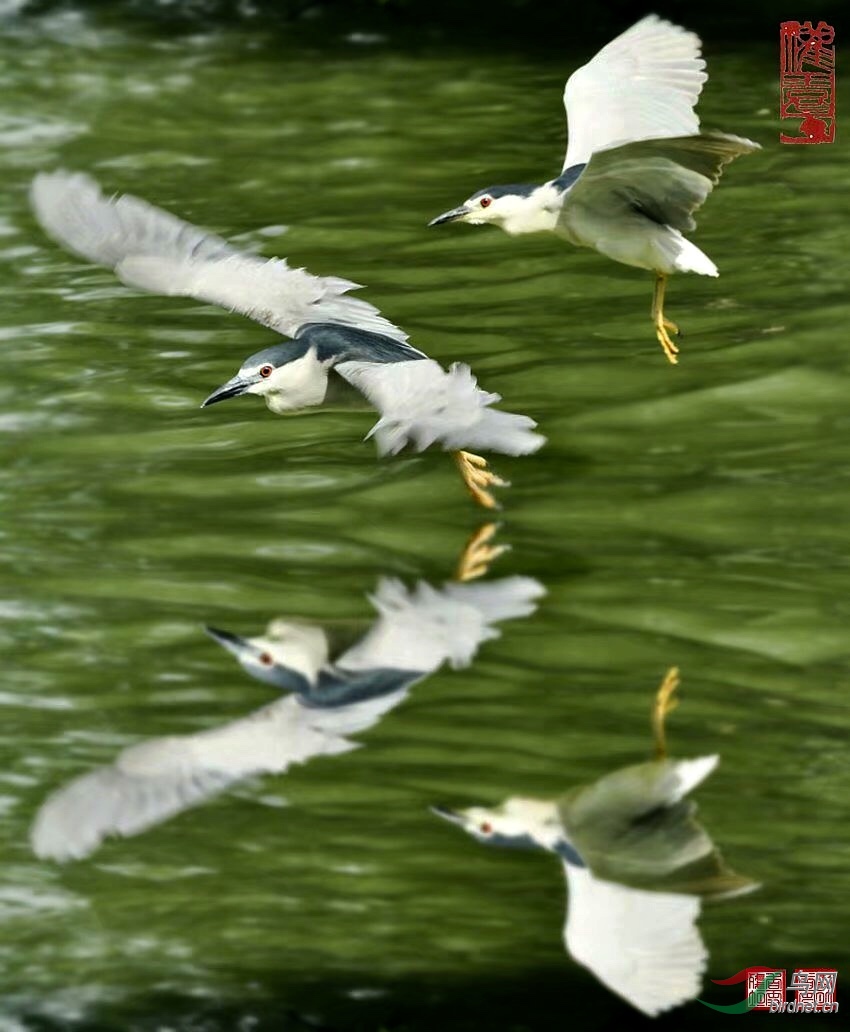 35066961-7069-4C4C-879C-01DA069F2F63.jpeg