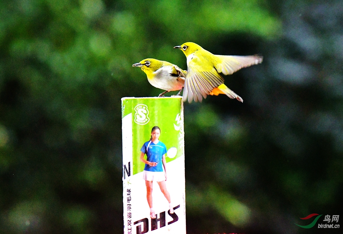 DSC_5533.JPG