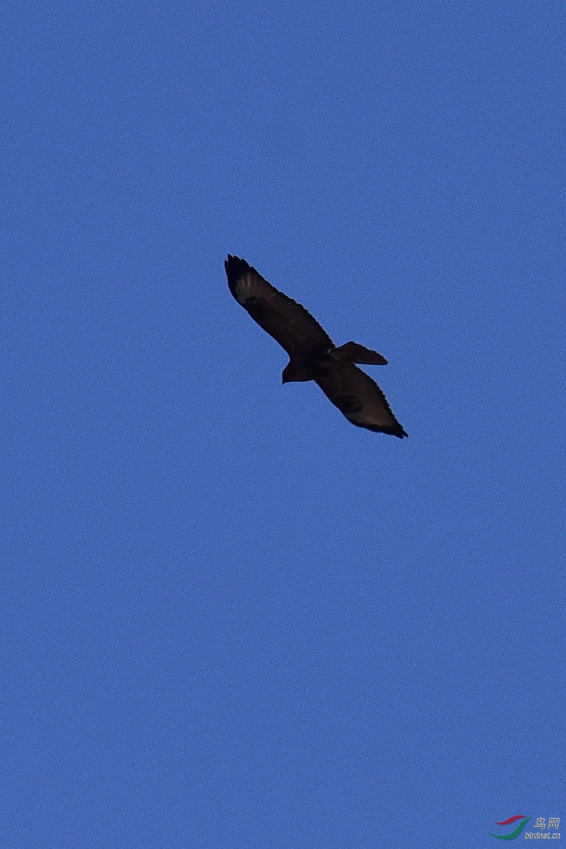 DSC_0735.JPG