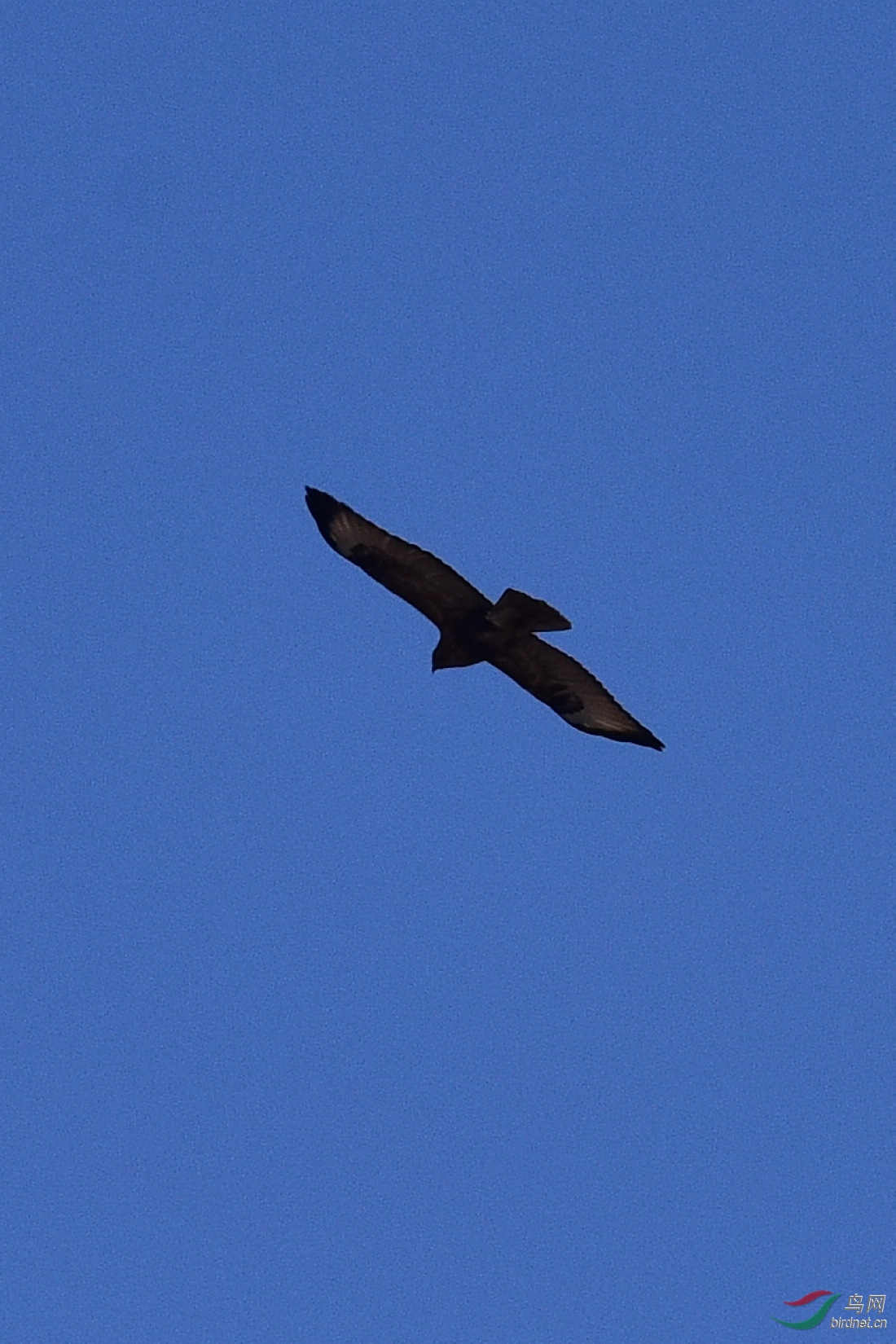 DSC_0736.JPG
