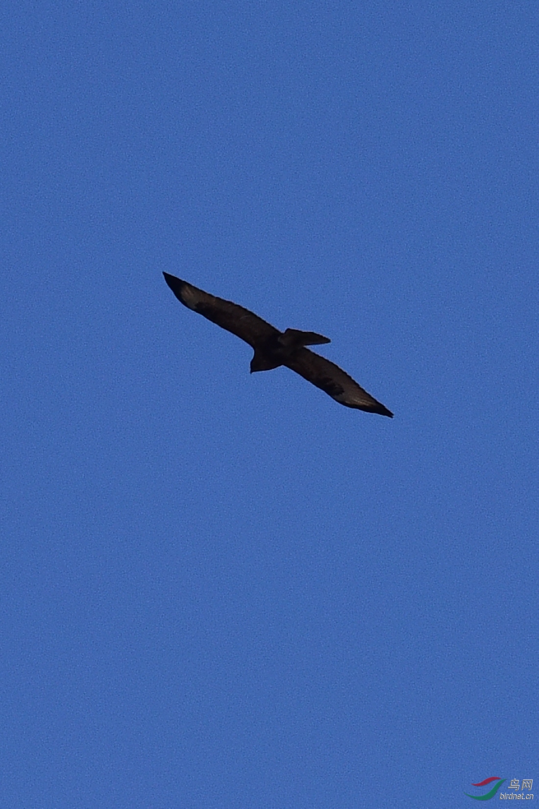 DSC_0737.JPG