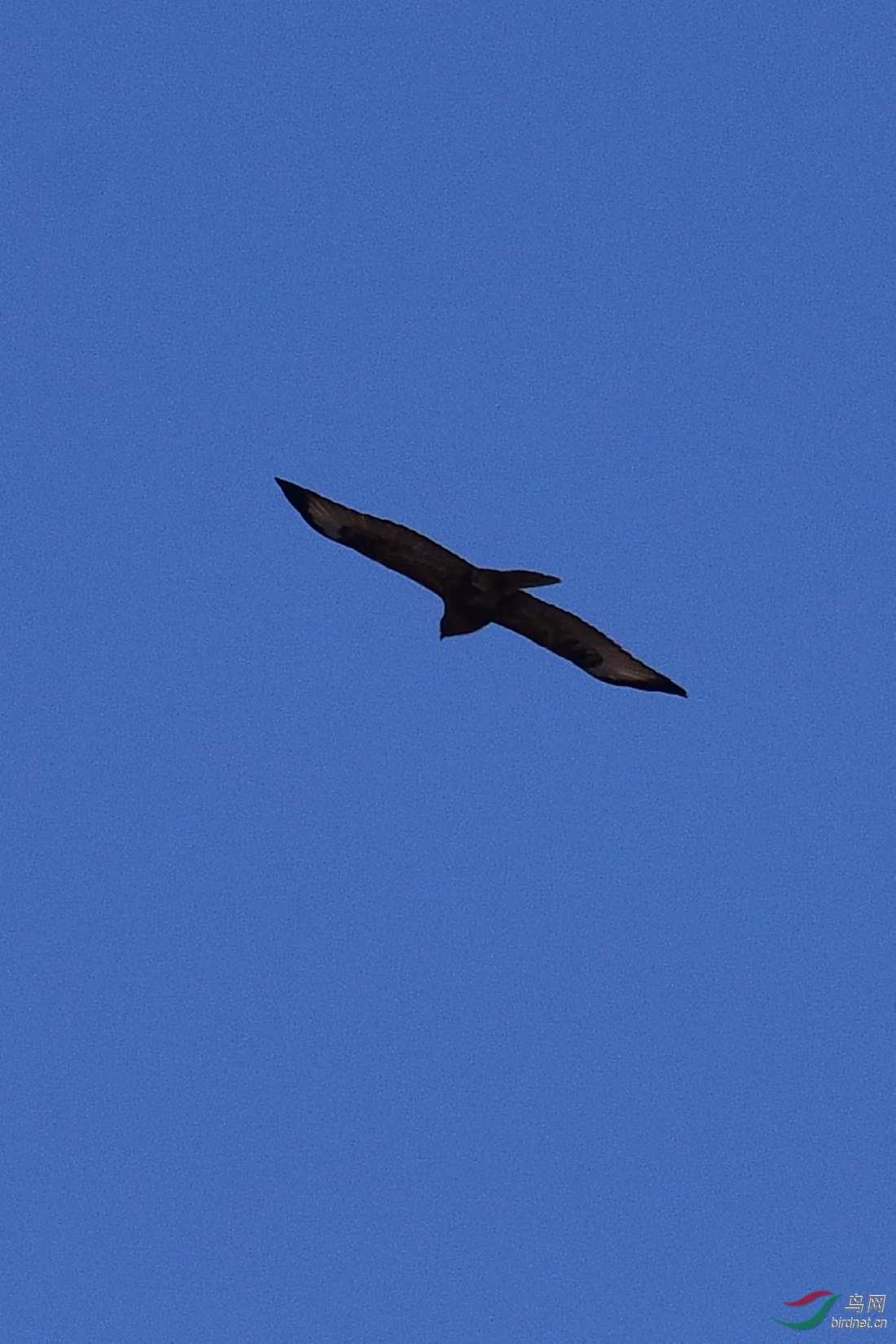 DSC_0738.JPG