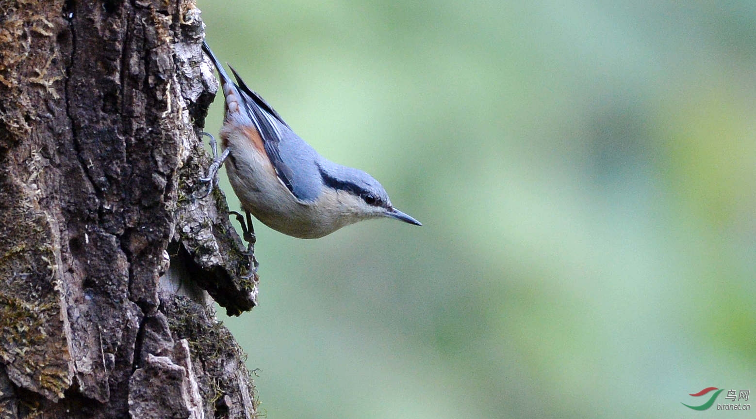 DSC_3664.JPG