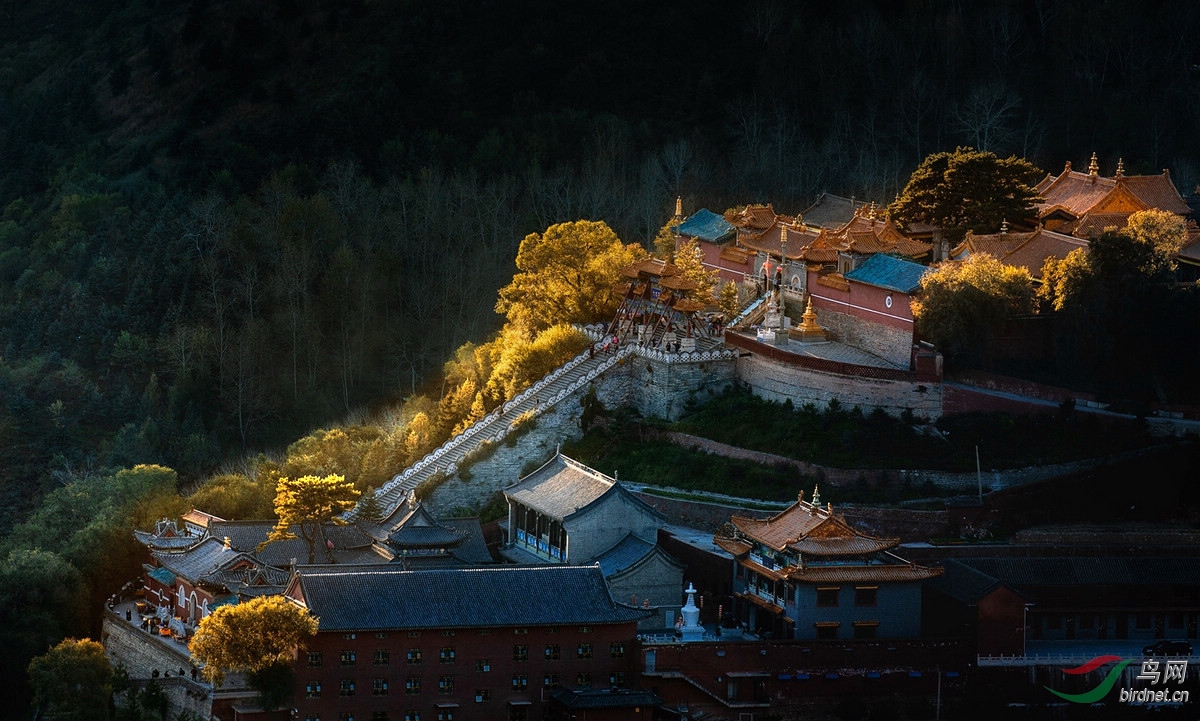 大孚灵鹫寺图片