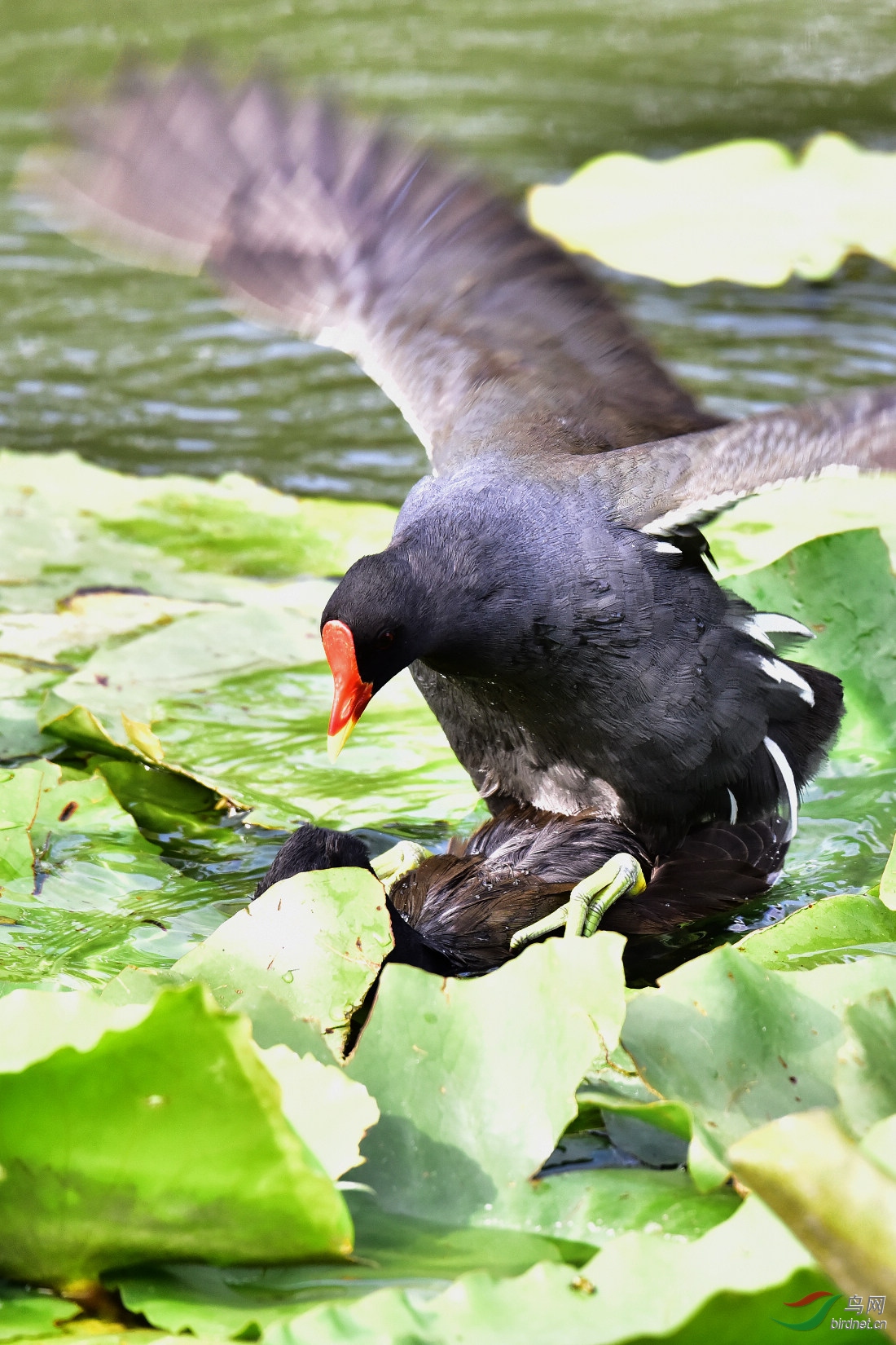 DSC_0313.JPG