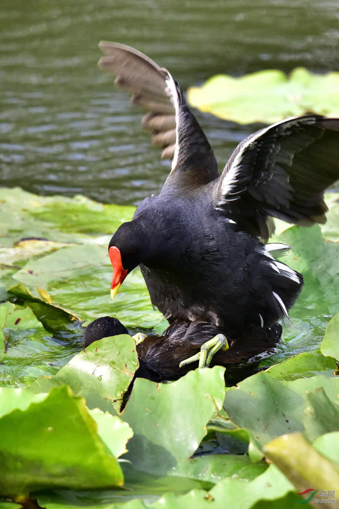 DSC_0314.JPG