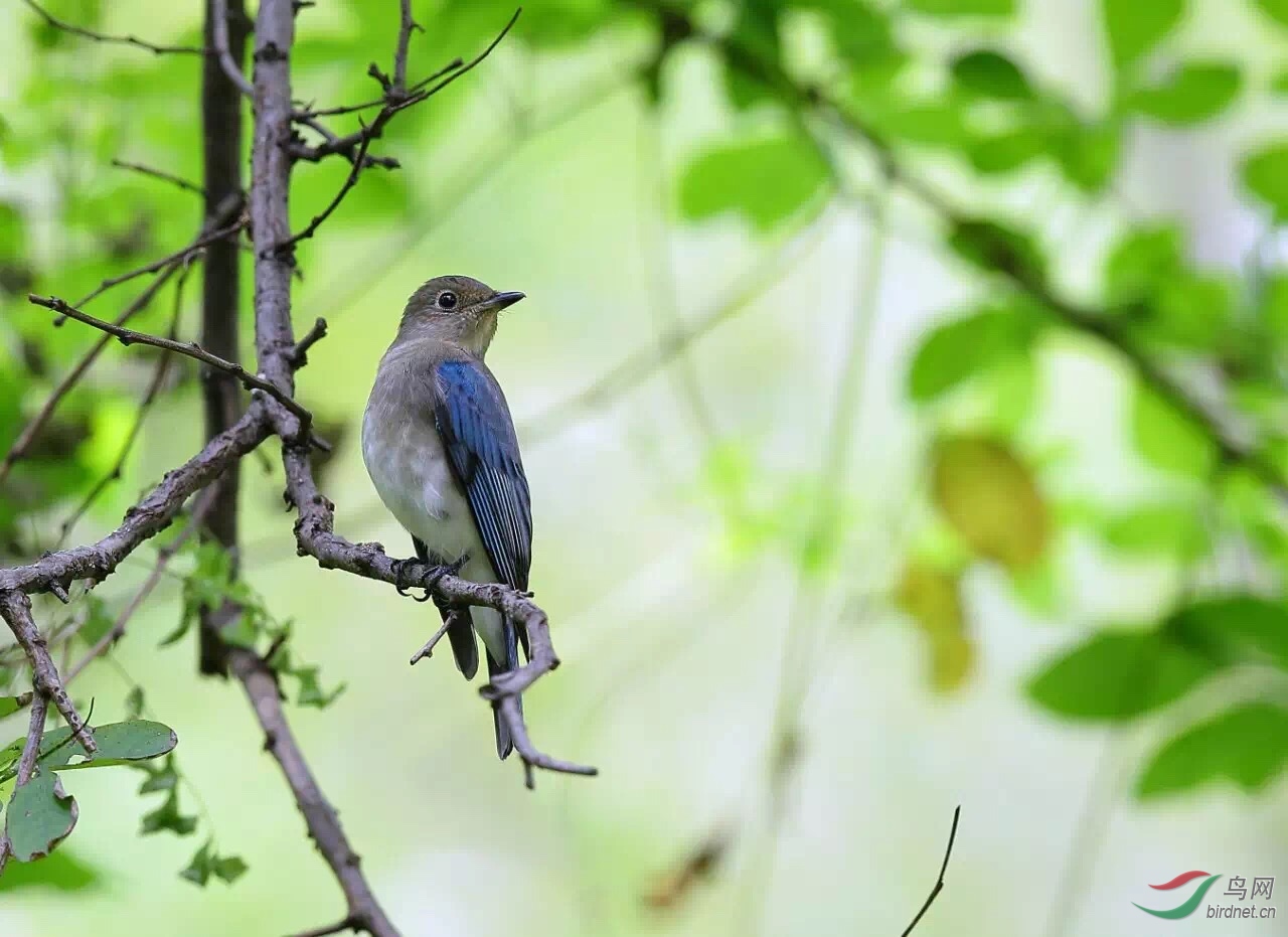 FE396675-7E68-49AB-AF7F-D101D795E3DA.jpeg