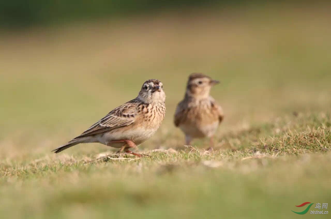 05E9F70D-2E51-45E1-87D1-092923472D31.jpeg