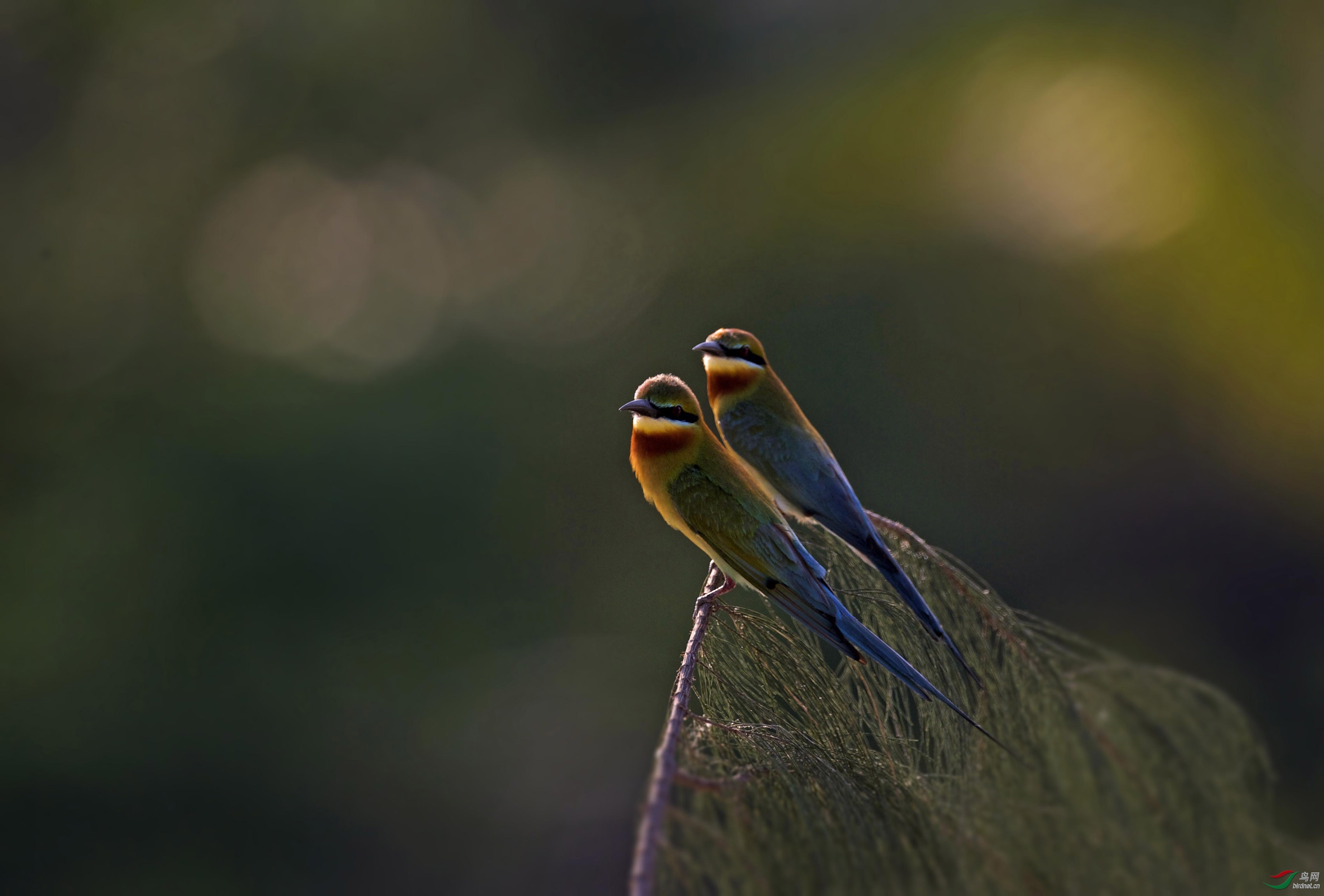 7D1A446A-3A8B-4273-A5FB-80C3B0242033.jpeg