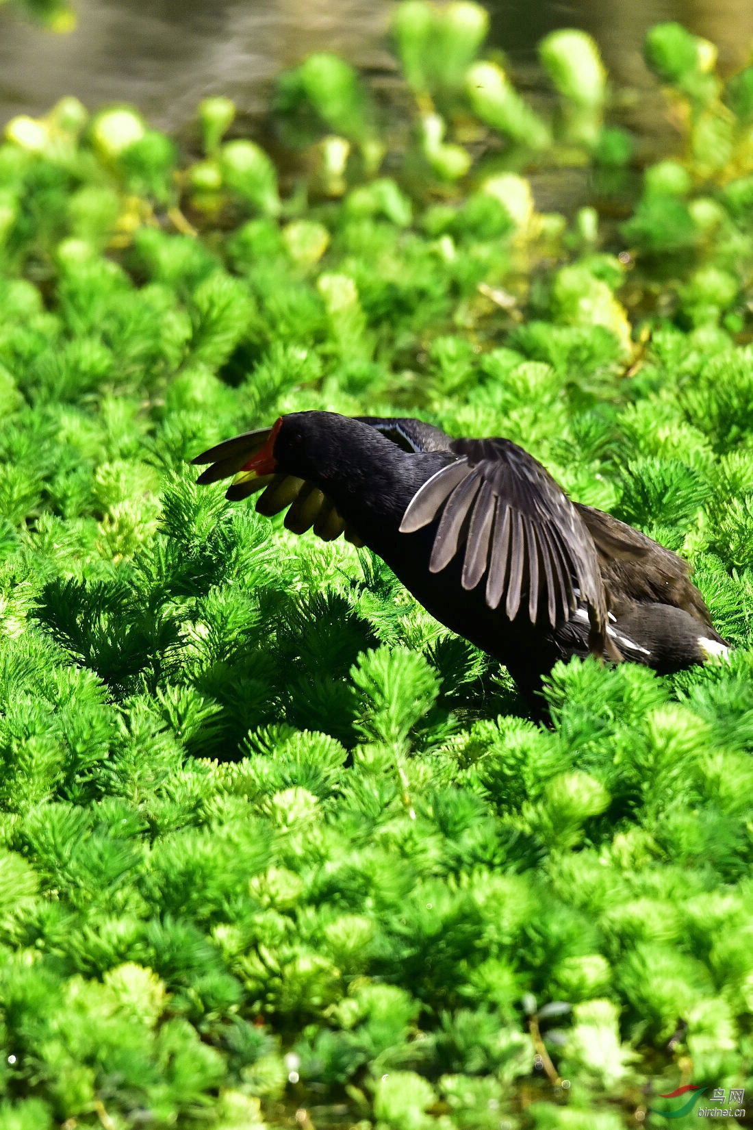 DSC_0321.JPG