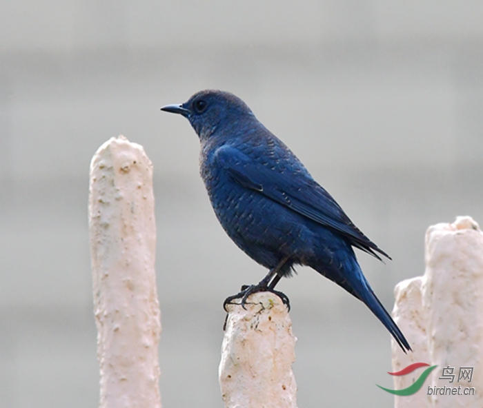 DSC_5595.JPG