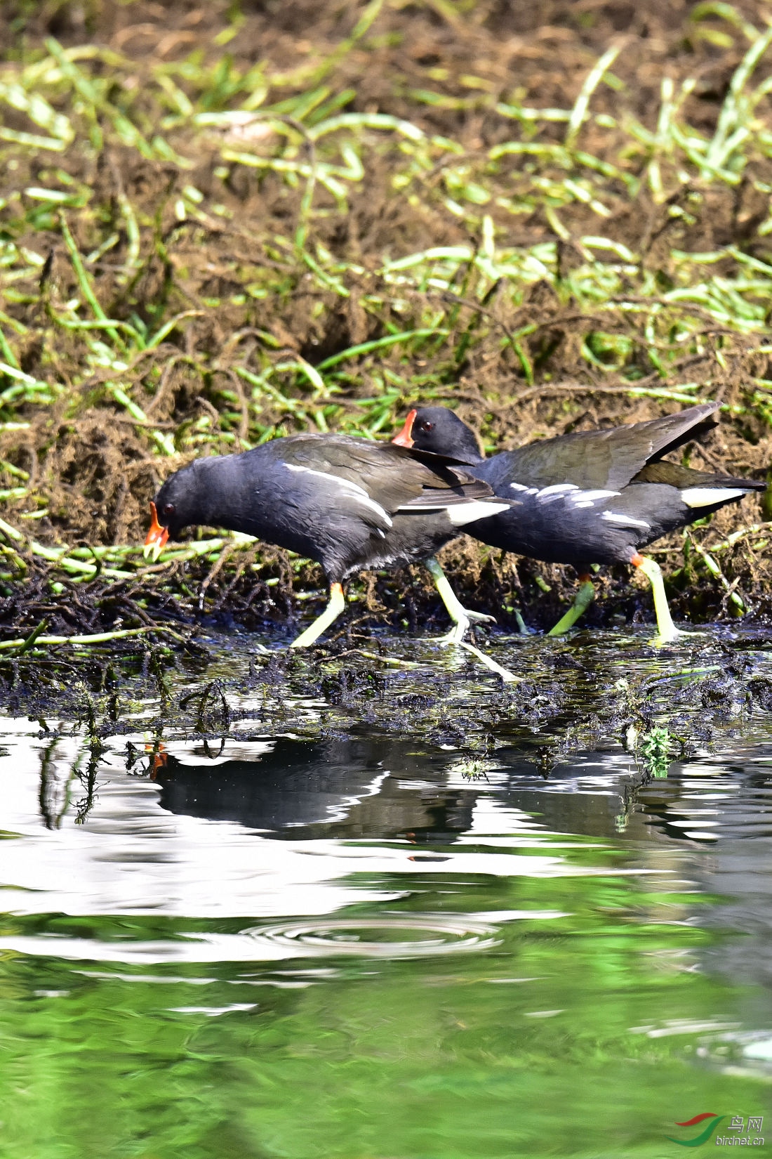 DSC_0351.JPG
