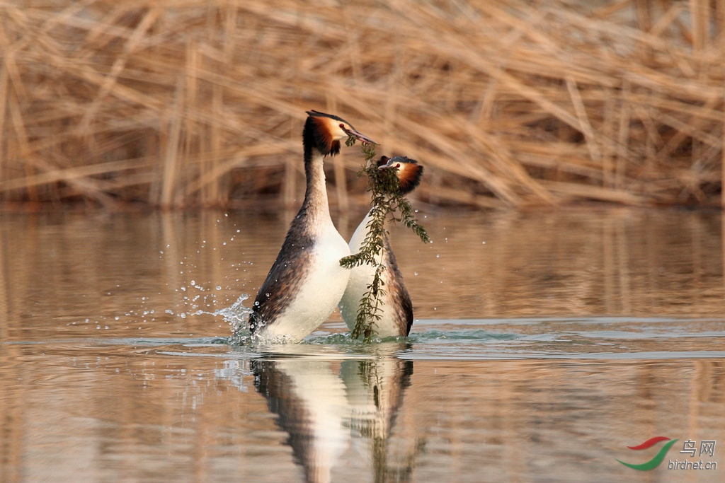 IMG_3216.jpg