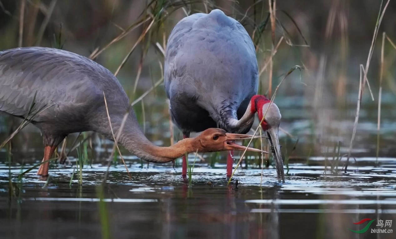 ͼƬ1 ����.jpg