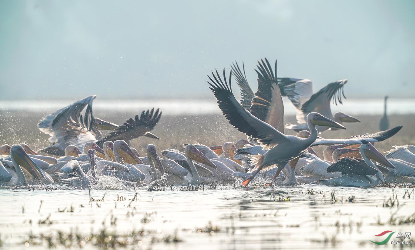 ͼƬ4 ����.jpg