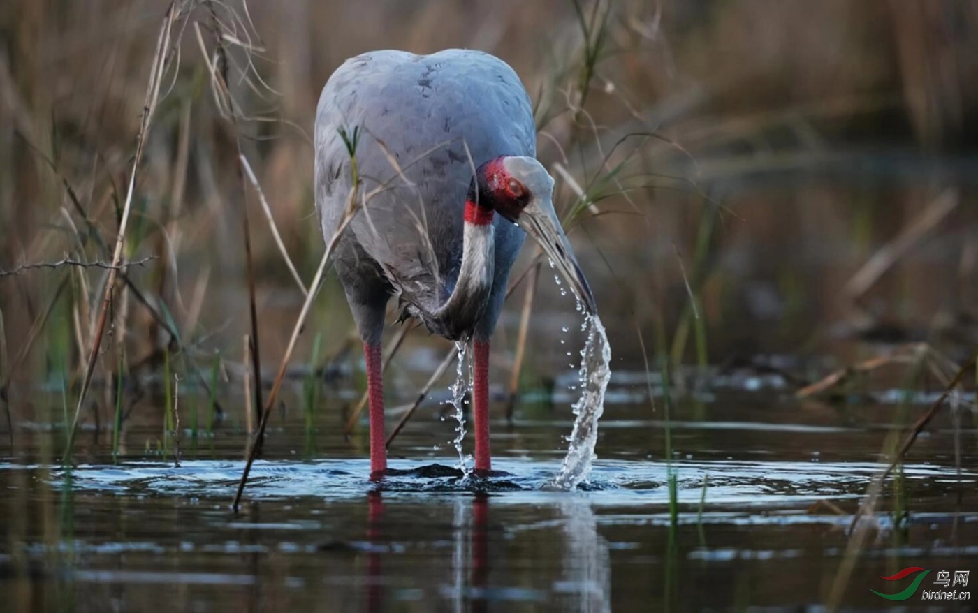 ͼƬ3 ����.jpg