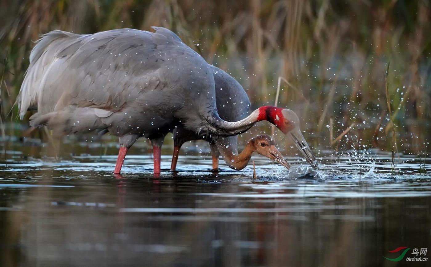 ͼƬ2 ����.jpg