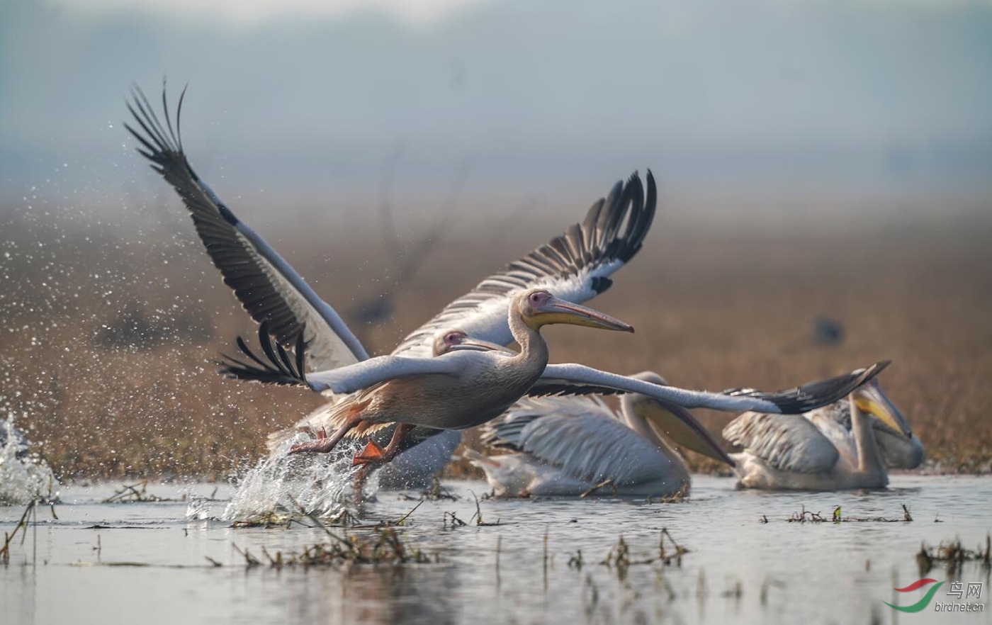 ͼƬ6 ����.jpg