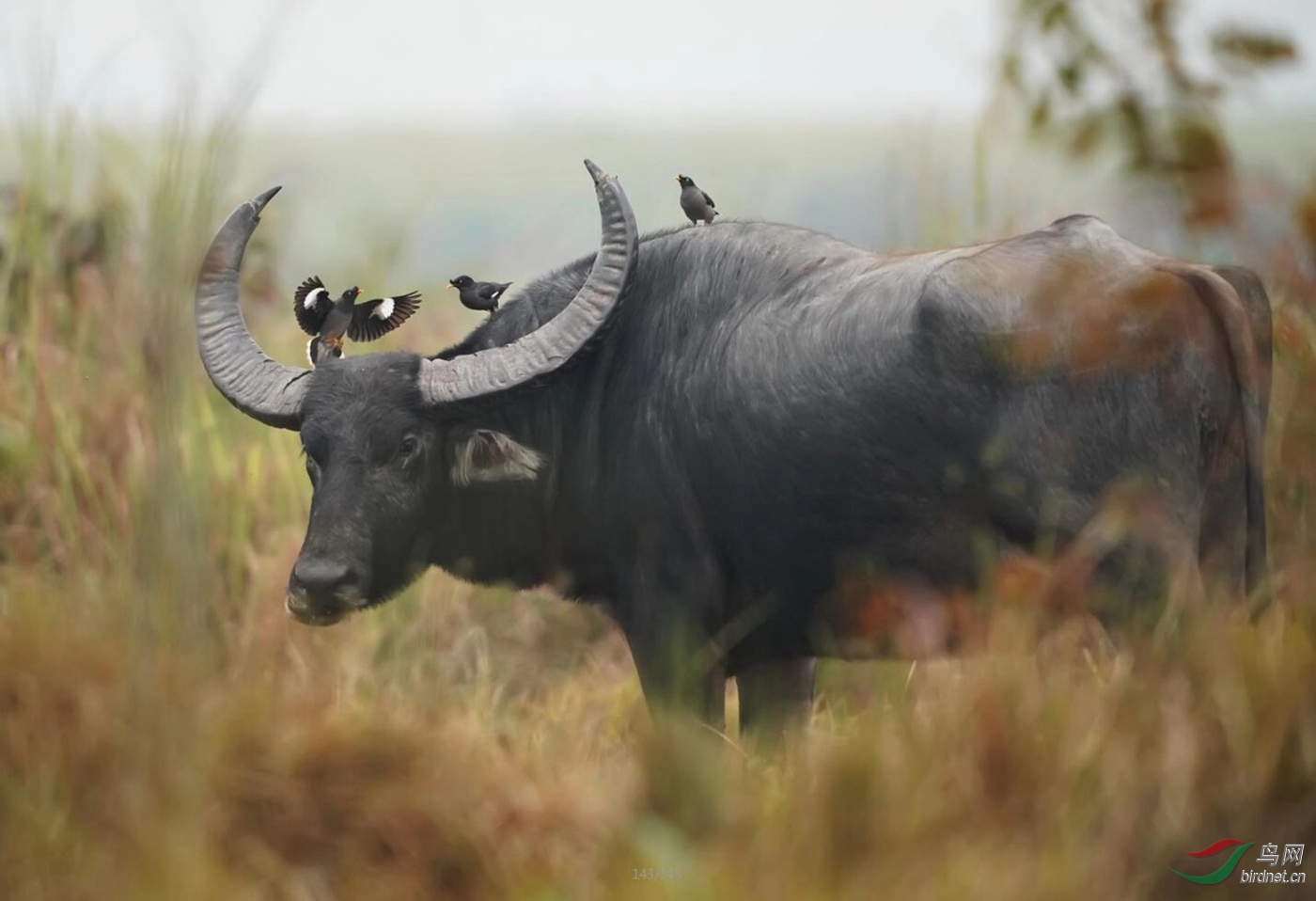 ͼƬ8 ����.jpg