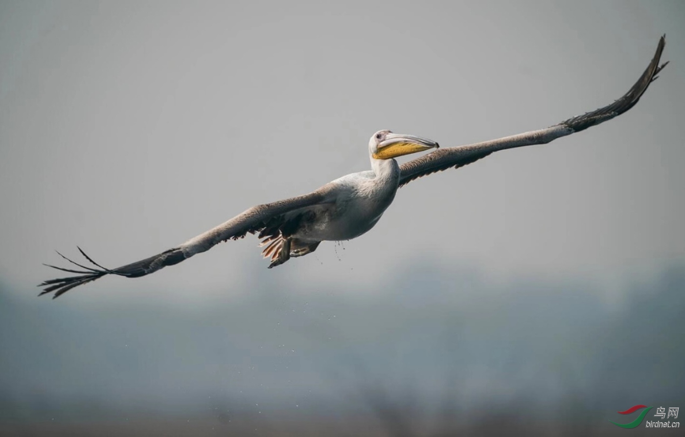 ͼƬ7 ����.jpg