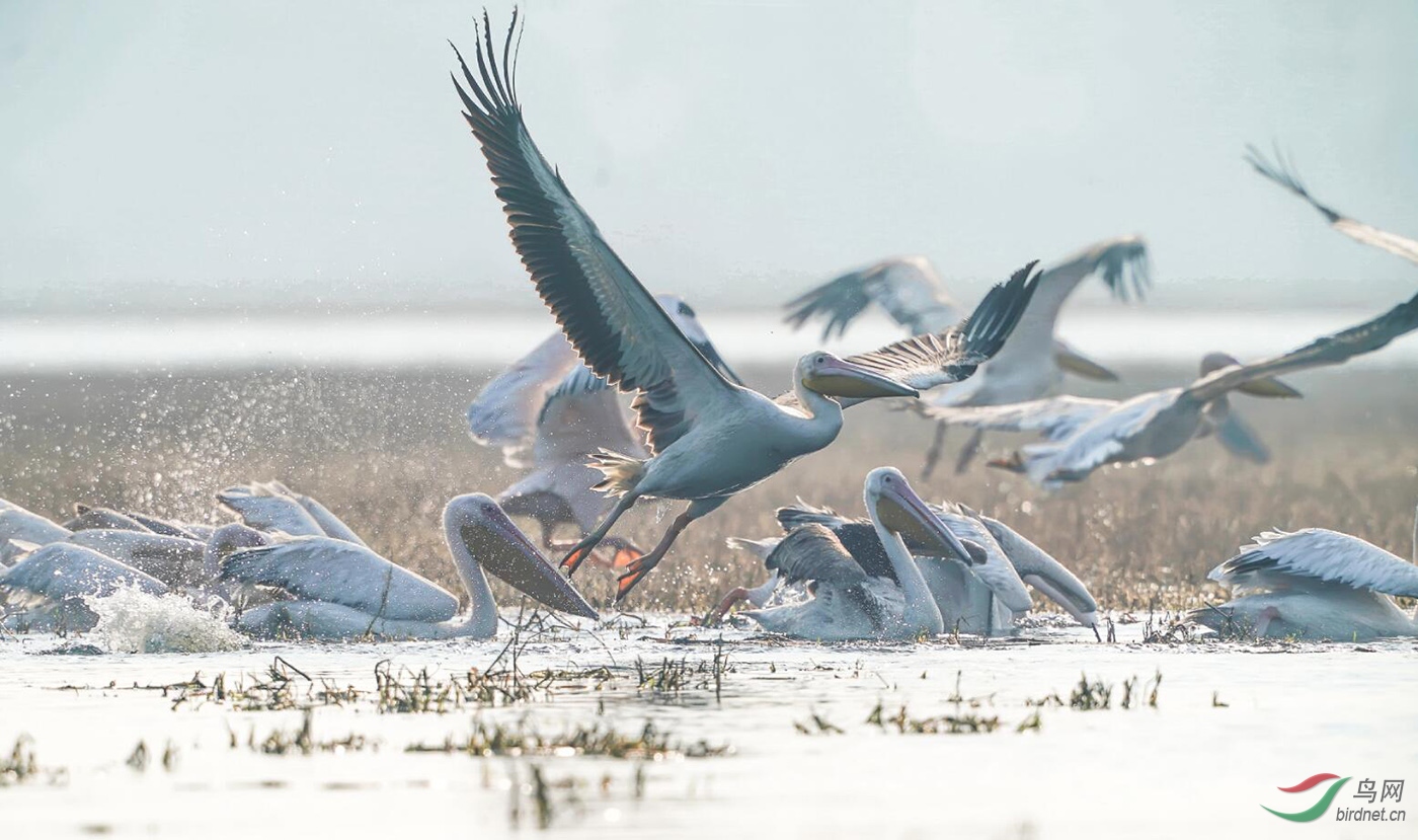 ͼƬ5 ����.jpg