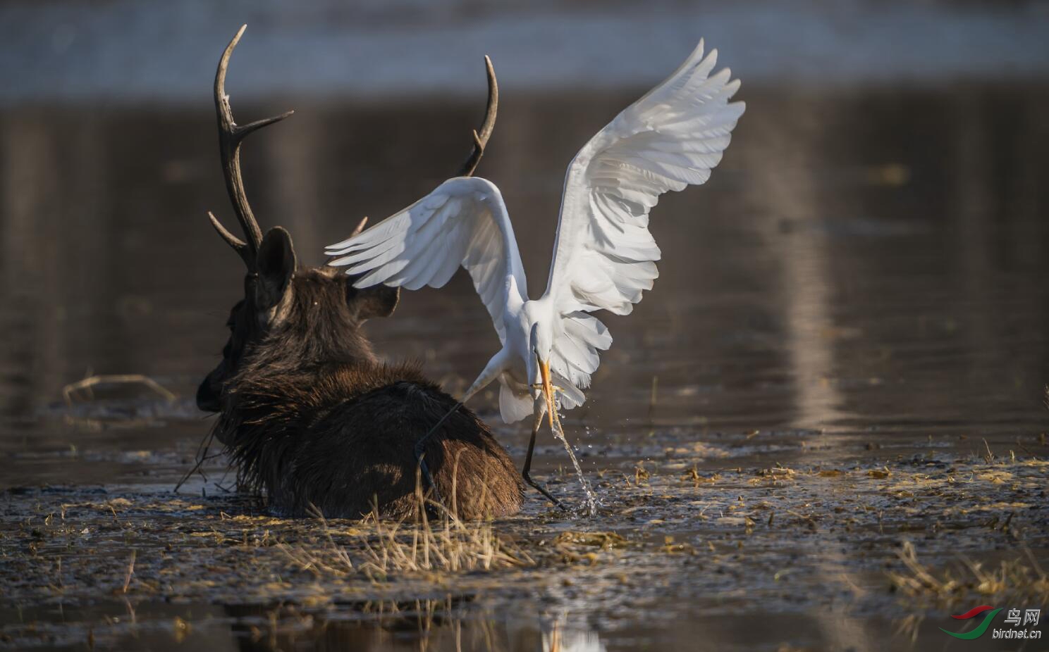 ͼƬ11 ����.jpg