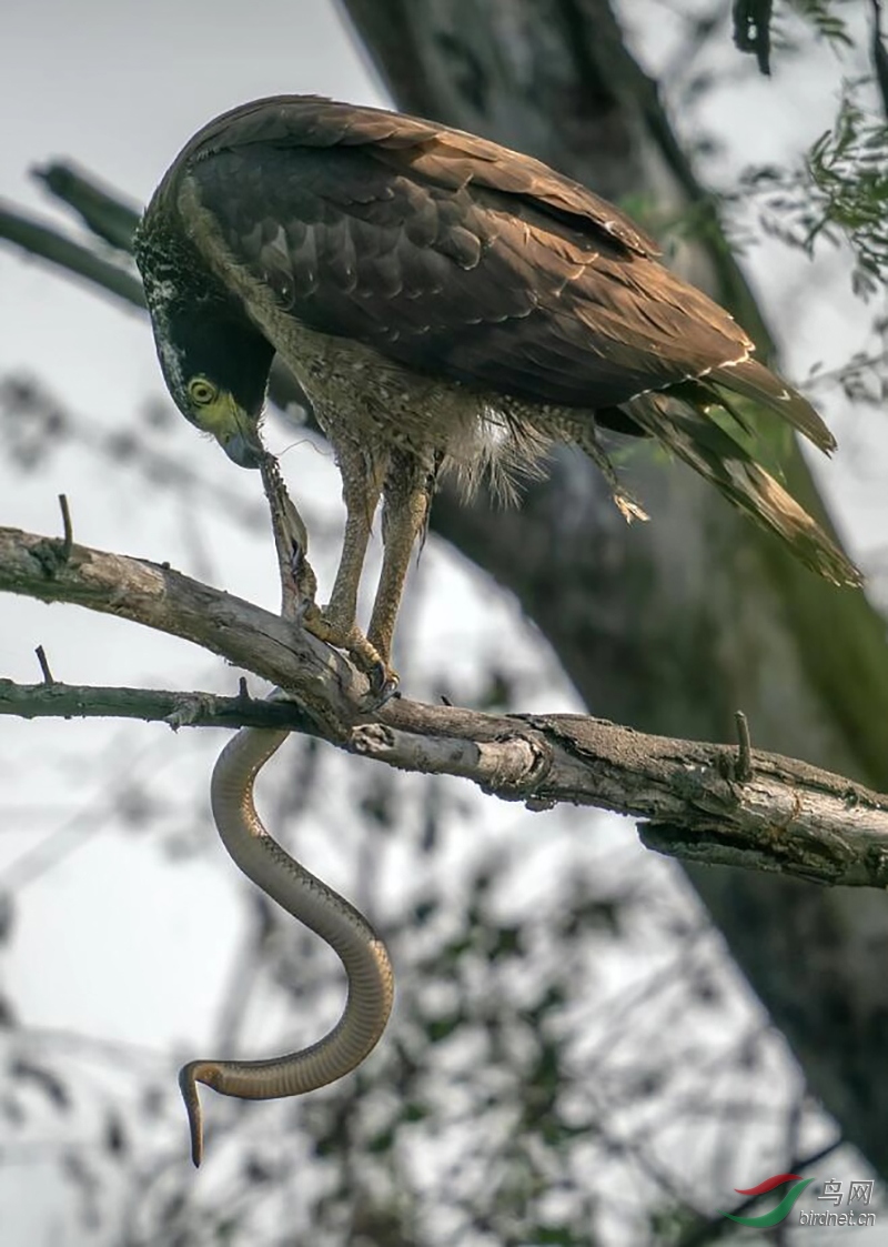 ͼƬ12 ����.jpg