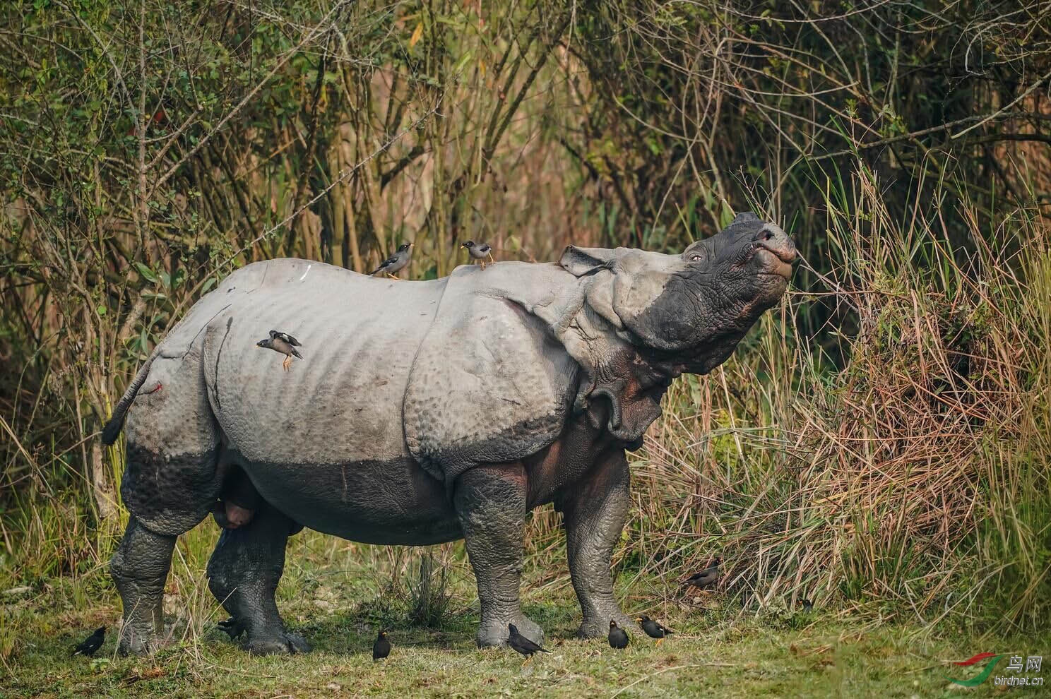 ͼƬ9 ����.jpg