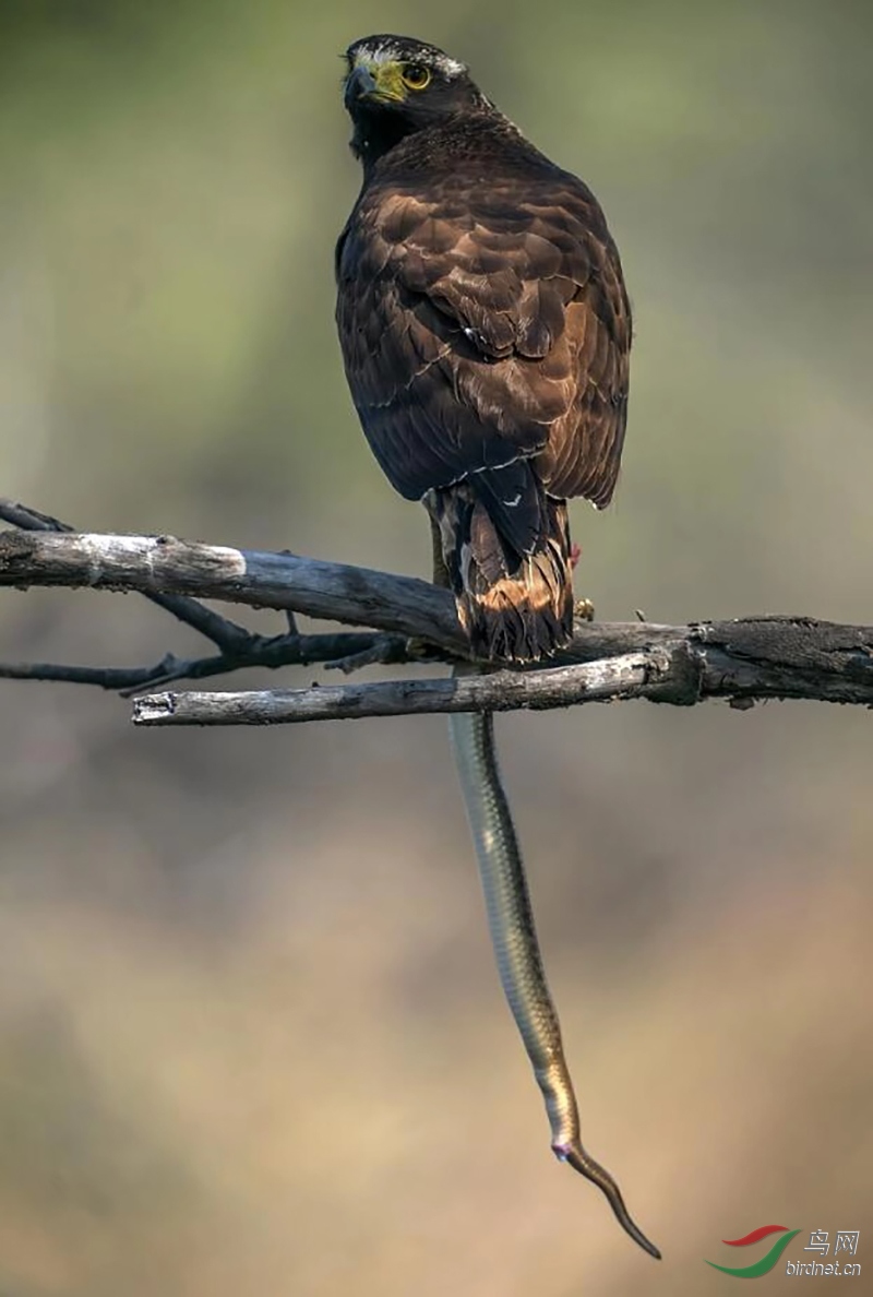 ͼƬ13 ����.jpg