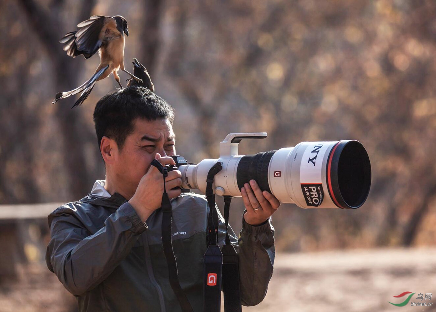 111 ����.jpg