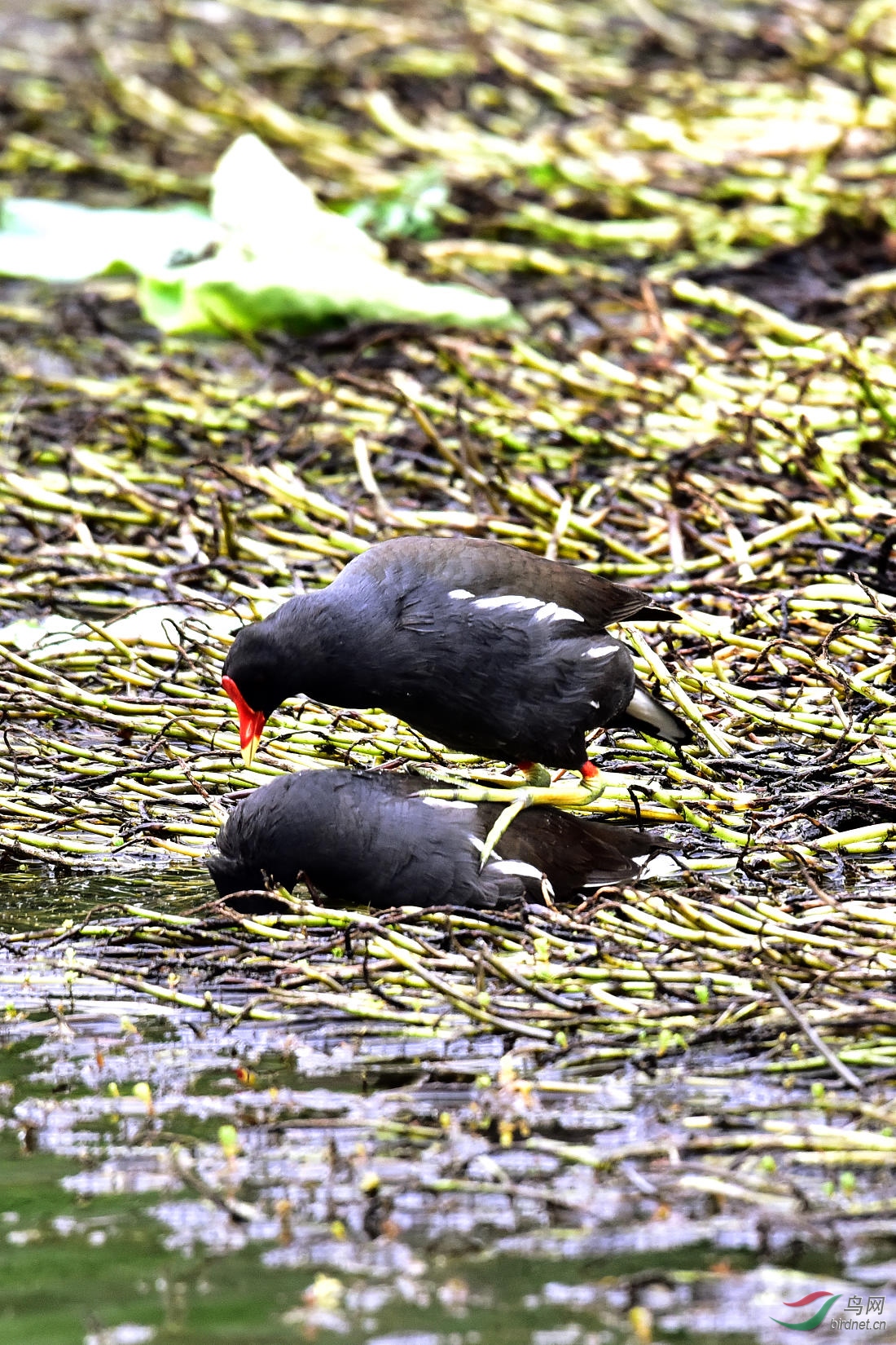 DSC_0358.JPG