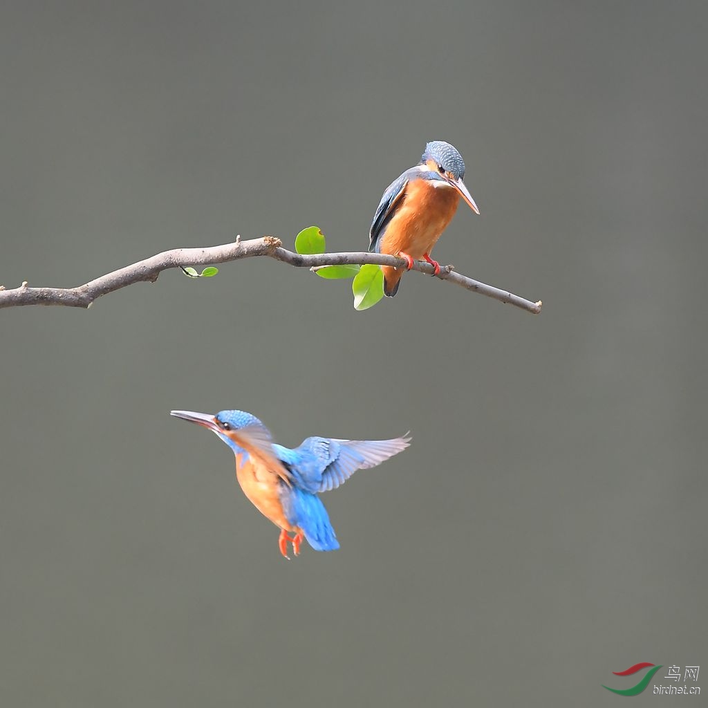 DSC_5189_����.jpg