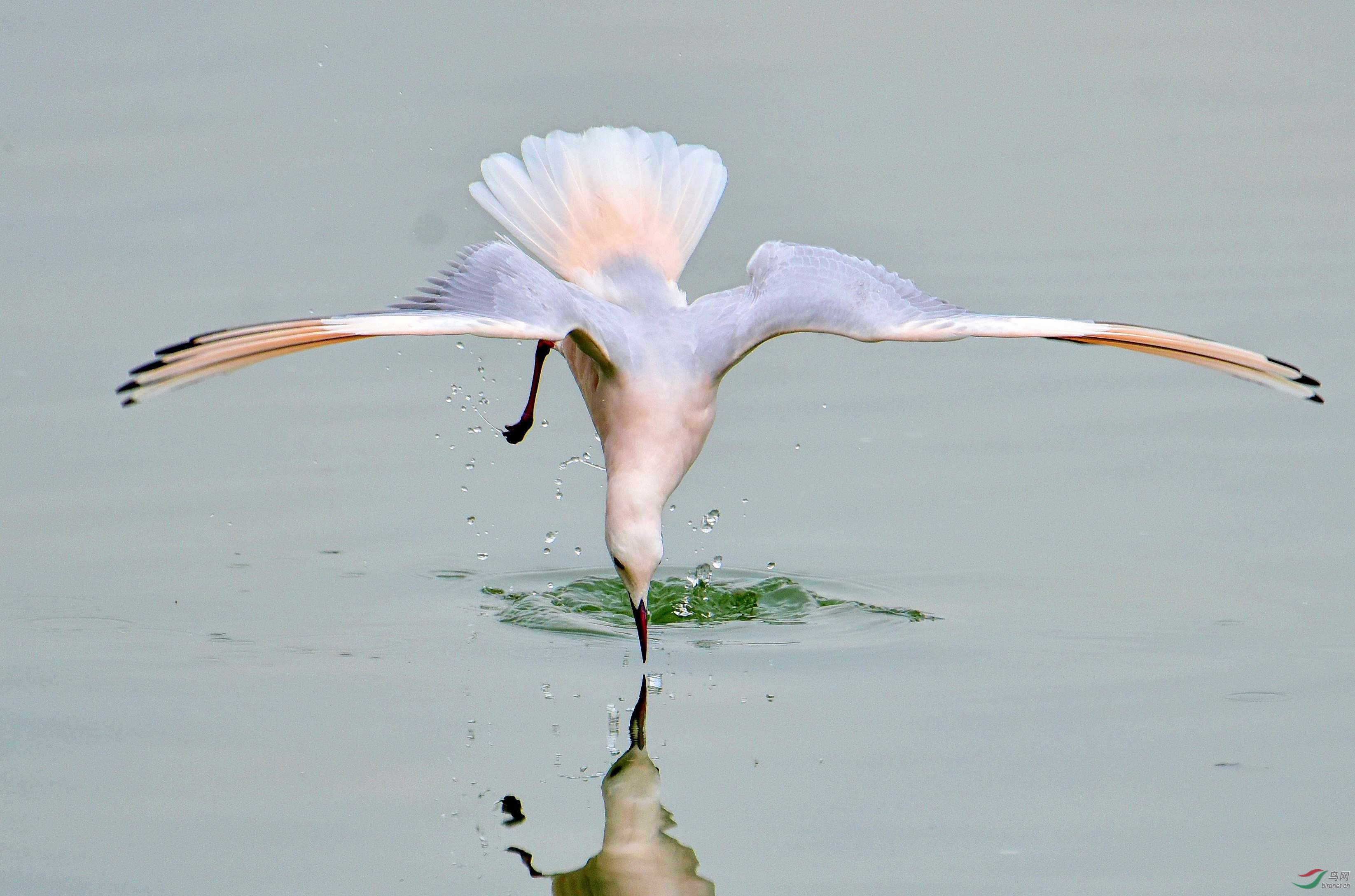 DSC_5512_conew3.jpg
