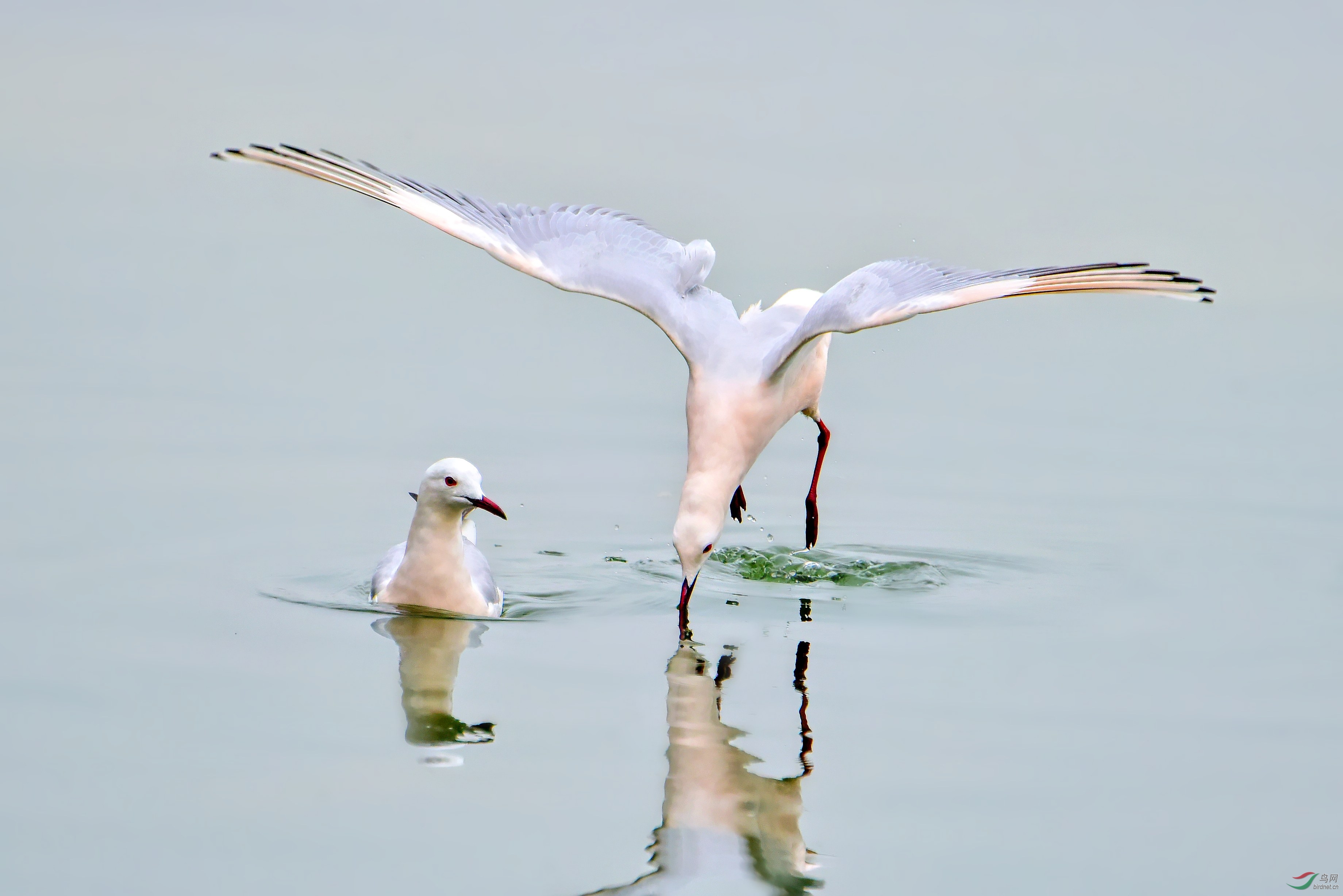 DSC_5544_conew2.jpg