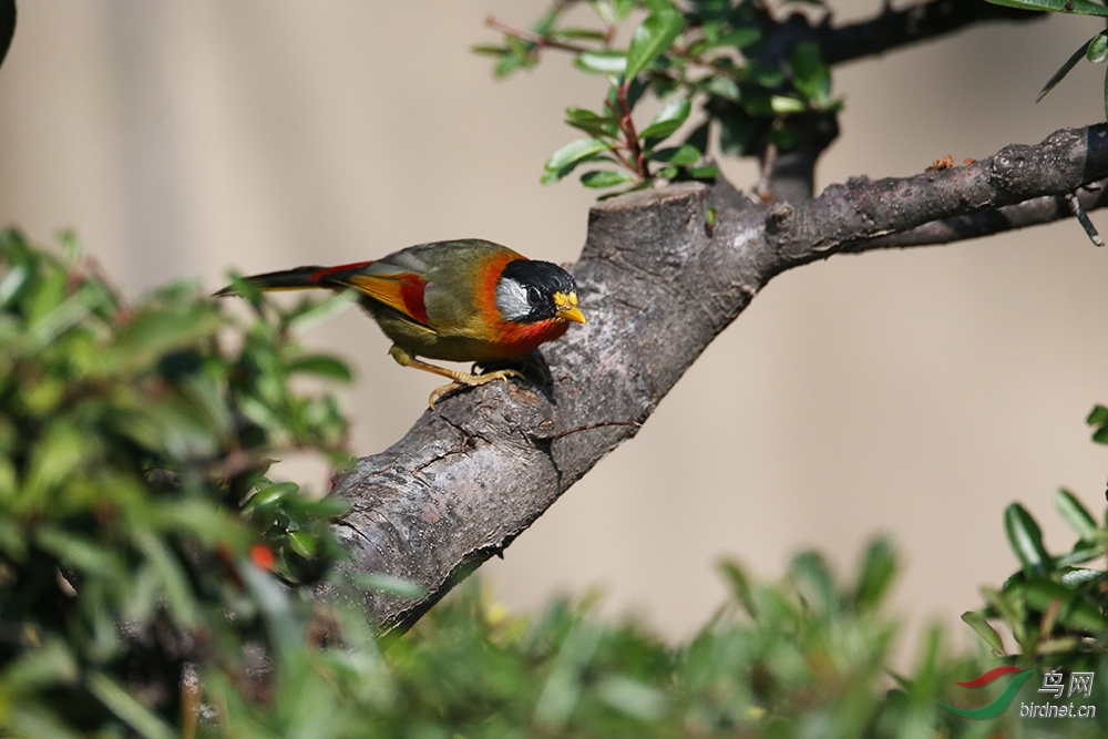 ������˼��  3.jpg