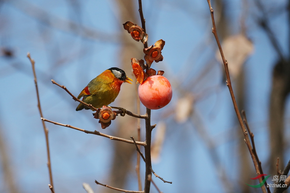 ������˼��  6.jpg