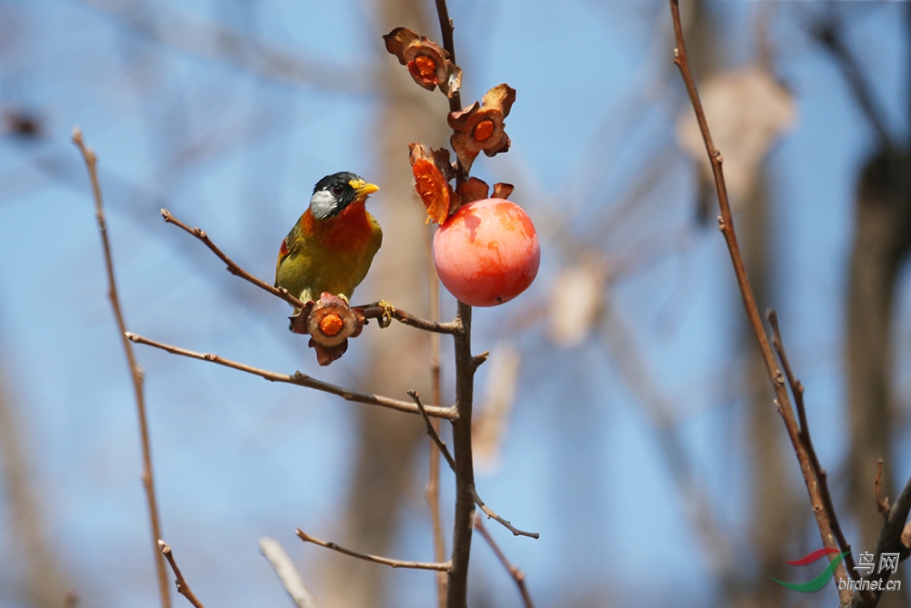 ������˼��  8.jpg