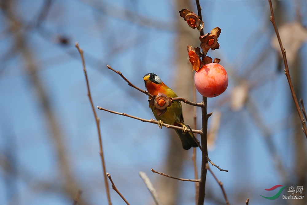 ������˼��  9.jpg