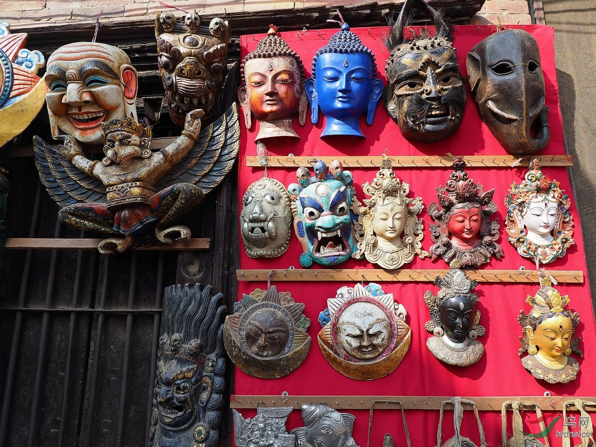 P1140077_����_DxO (����).jpg