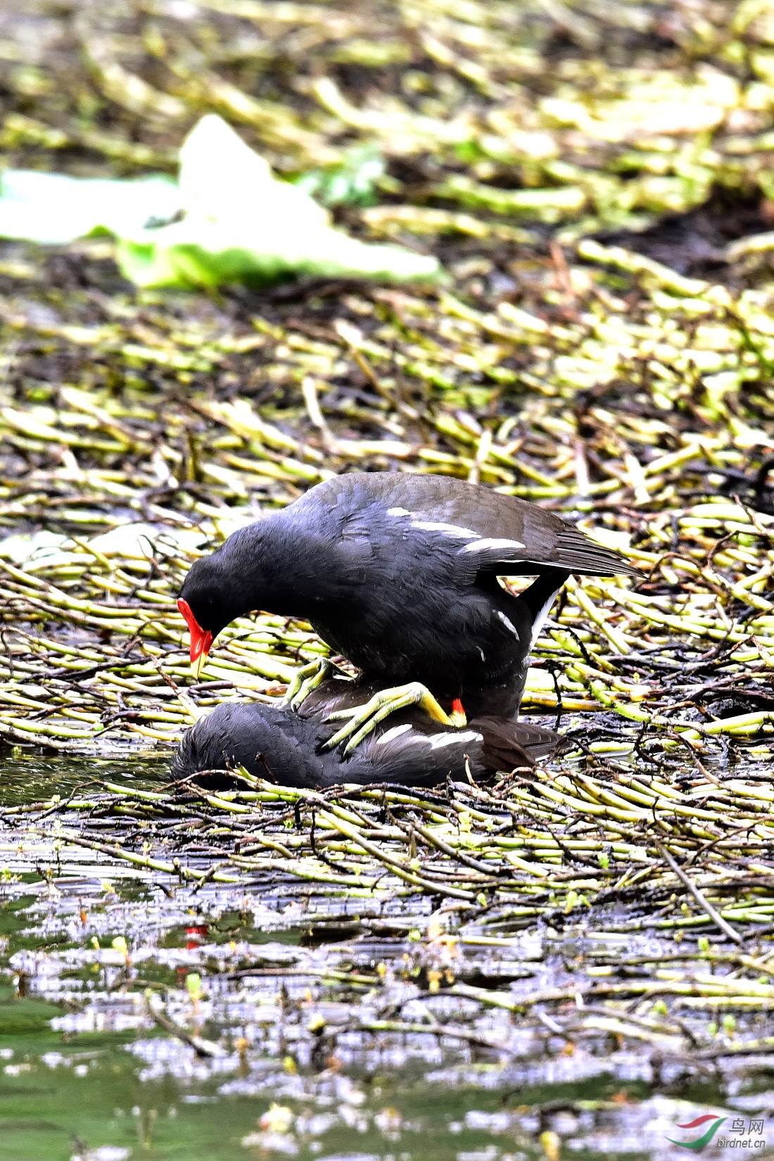DSC_0365.JPG