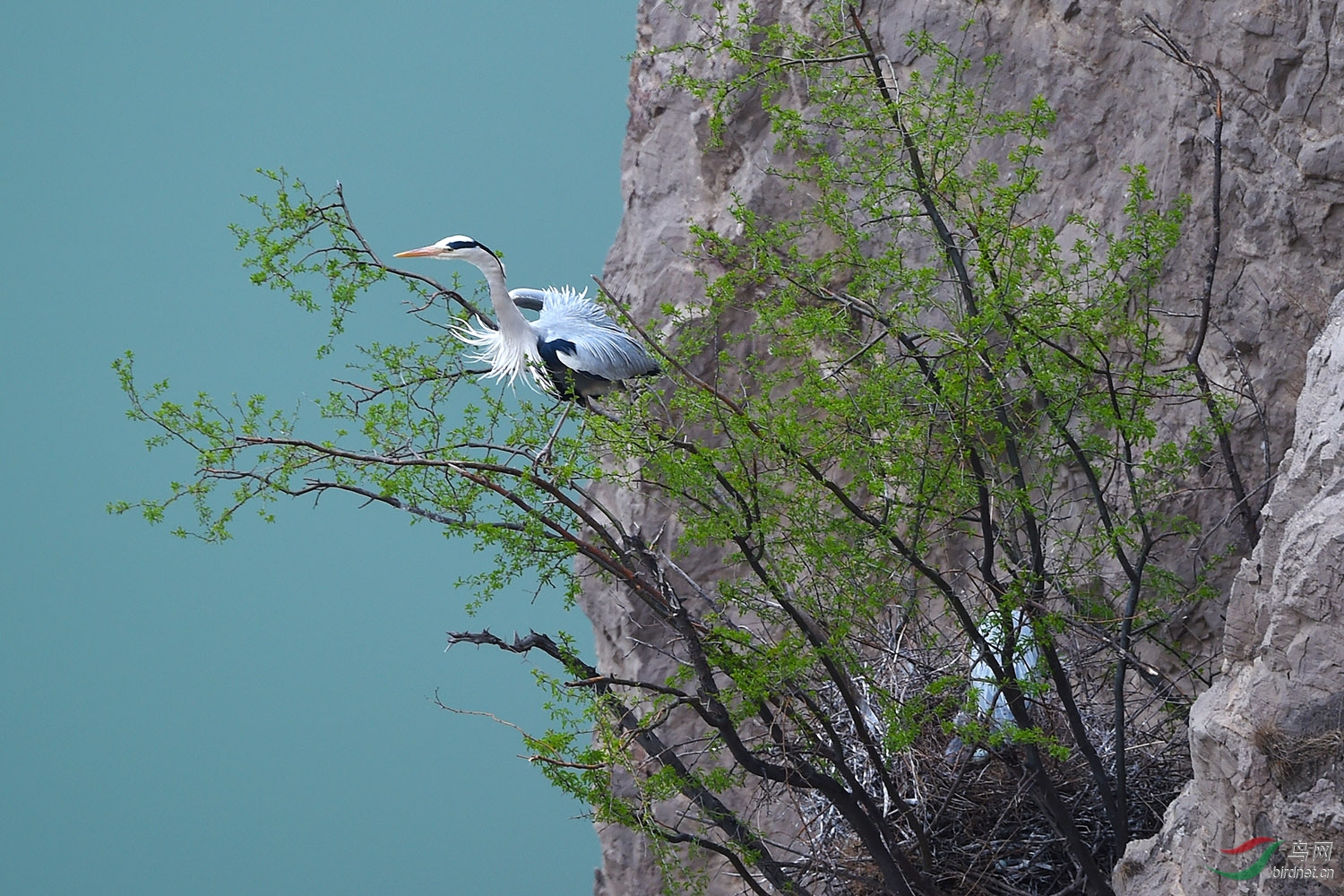 DSC_0341fb.jpg