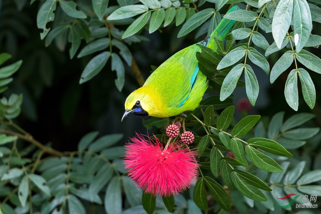 259915379_large.v1551895267.jpg