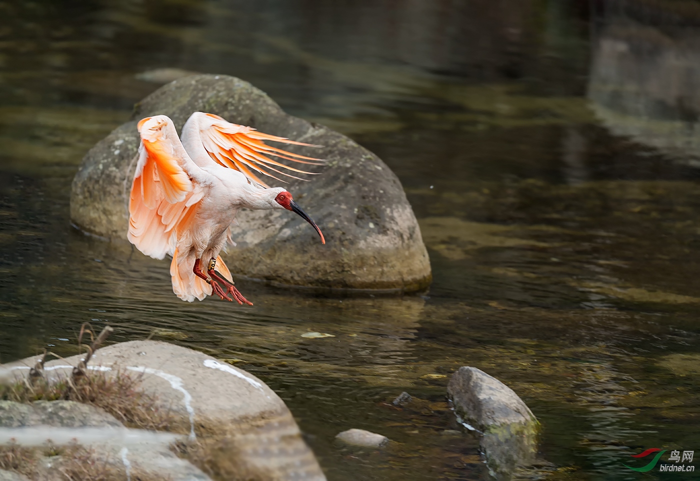 DSC_4428.jpg